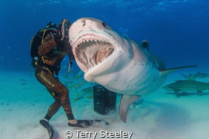 The ocean stirs the heart, inspires the imagination and b... by Terry Steeley 